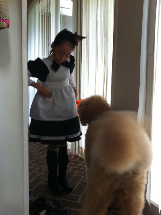ハロウィンつこ１.JPG