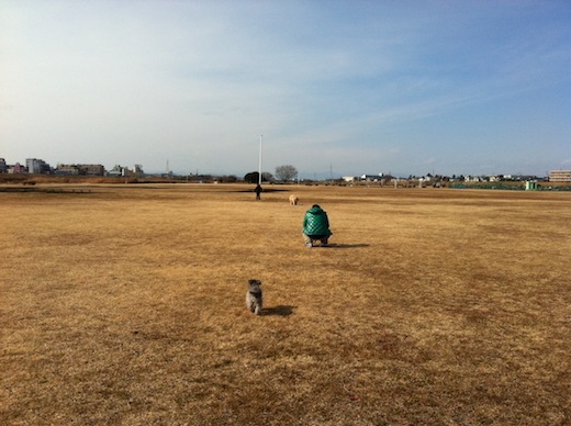 フォンドin 多摩川.JPG