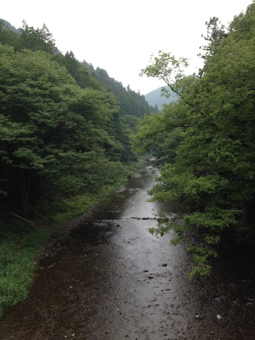 養沢川.JPG