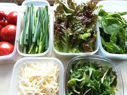 50度野菜１.JPG