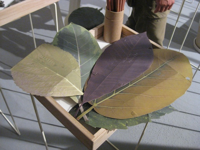 DESIGN-TIDE-2.jpg