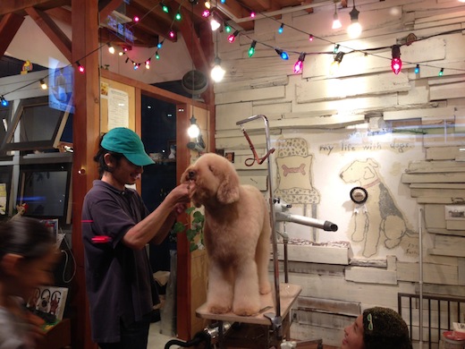 DOGMANIA.JPG