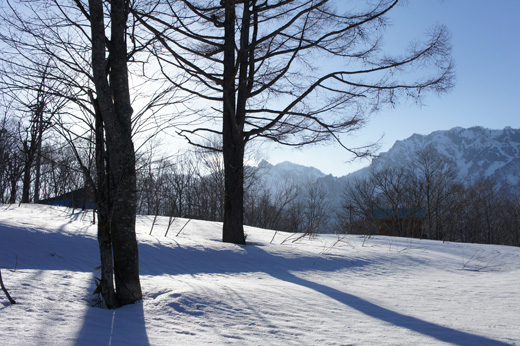 DSC01214.jpg