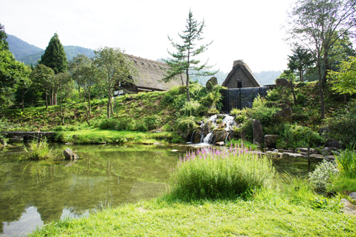 DSC02012.JPG