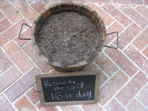 Return to the soil 16th.day.jpg
