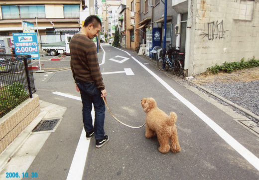 pigu-last7.jpg